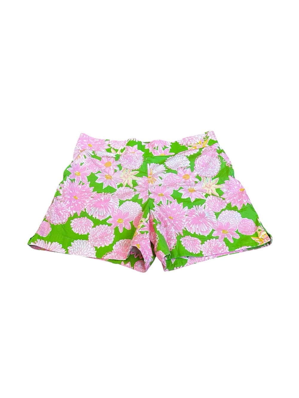 Lilly Pulitzer Womens Small The Alista Shorts Seaside Garden Vacation Preppy